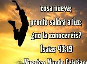 Nuevos comienzos