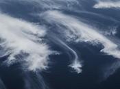 Interior César Nistal