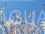 Blogger Traveller Abril 2014: AGUA