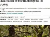 ¡¡¡tenemos cuidar nuestros bosques, frenan cambio climático!!!