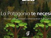 Life lanza aplicaciones móviles gratis solo objetivo: Ayudar Chile