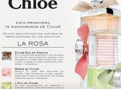 ¡Descubre cuál rosa Chloé!
