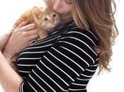Embarazadas gatos… ¿Qué riesgos hay?