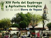 Sierra Yeguas repartirá 2.000 platos entre asistentes ‘Feria Espárrago Agricultura Ecológica’