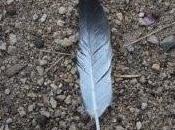 Solo descarga gratuita: fabricador tintas: apasionante viaje desde Bizancio hasta inicio Primera Cruzada