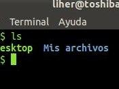 Como encriptar archivos desde Terminal Ubuntu