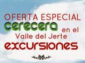 Excursión cerecera Valle Jerte