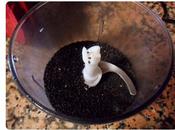 Como hacer pasta sesamo negro casero