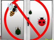 Trucos para evitar insectos hogar