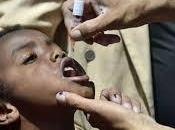 Polio, nuevo