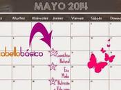 Taller “Cosmética Natural”, Cabéllo Básico