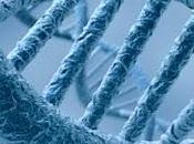 Descubre Noche Investigadores 2010