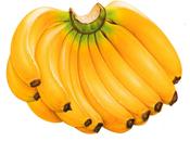 Sabias Plátano Para Adelgazar
