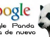 Google lanza Actualización Algoritmo Panda