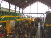 pierdas este tren!