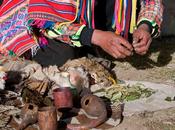 Ofrenda Pachamama