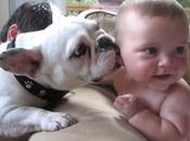 alegría animales vídeo