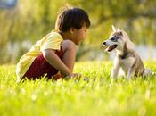 Animales mamíferos inglés