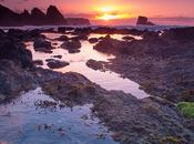 mundial Medio Ambiente, ¿sirve para algo?