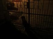 Felicidad, violenta felicidad.