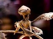 Creyendo "hada dientes"