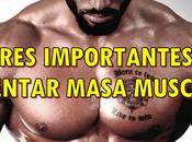 Factores importantes para aumentar masa muscular