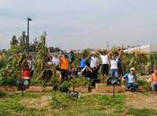 Biohuerto sustentabilidad ecología como principios fundamentales