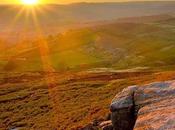 despertar