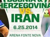 Partido Bosnia Irán Grupo Mundial 2014