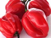 Cuatro beneficios rocoto, salud