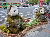 Kawaii Tokyo