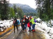 Nieve montañas