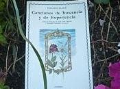 Canciones inocencia experiencia (Songs Innocence Experience) William Blake