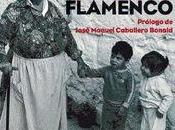 Historia social flamenco