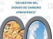 RAI: Jornada sobre secuestro atmosférico