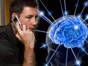 Para Todos Aquellos Amantes Celulares