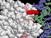 Nuevo revolucionario modo revertir ciertos tipos cáncer