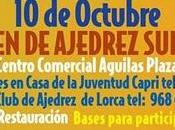 Open Ajedrez sub-18 Aguilas Plaza 2010