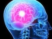 verdad utilizamos sólo pequeña parte nuestro cerebro?