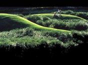 Michel Corajoud, Primer “Premio Paisajismo”