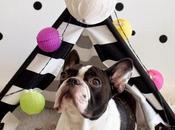 Decorar bonito cama mascota: OKER TIPI WILD