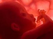 Secuenciación genoma feto