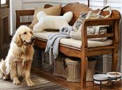 Vestibulos Rusticos Rustic Style Entries