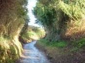 ¿cuál sido actitud friki entrevistador habéis encontrado?