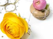Ideas para presentar MACARONS