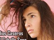 Remedios Caseros para Cabello Seco