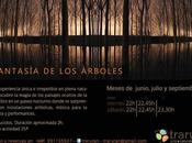 Fantasía Árboles