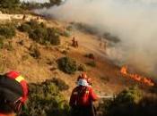 Incendios forestales: Unidad Militar Emergencias