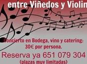 Entre Viñedos Violines