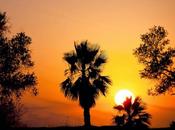 tarde verano